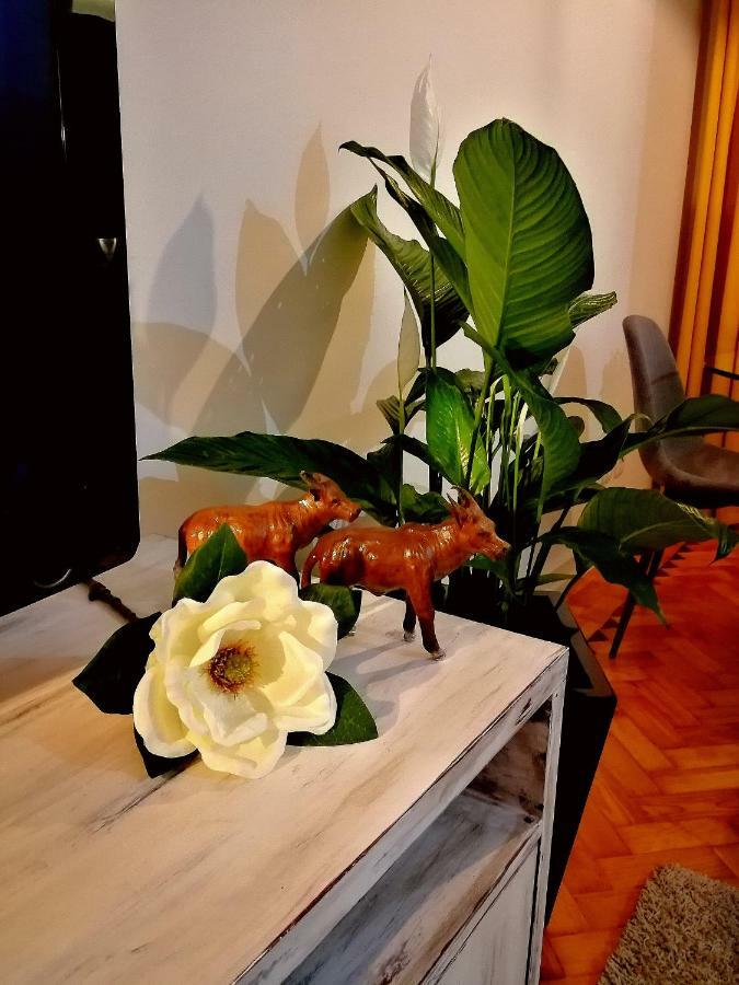 Apartamento The Sunset Lisbon Flat Exterior foto